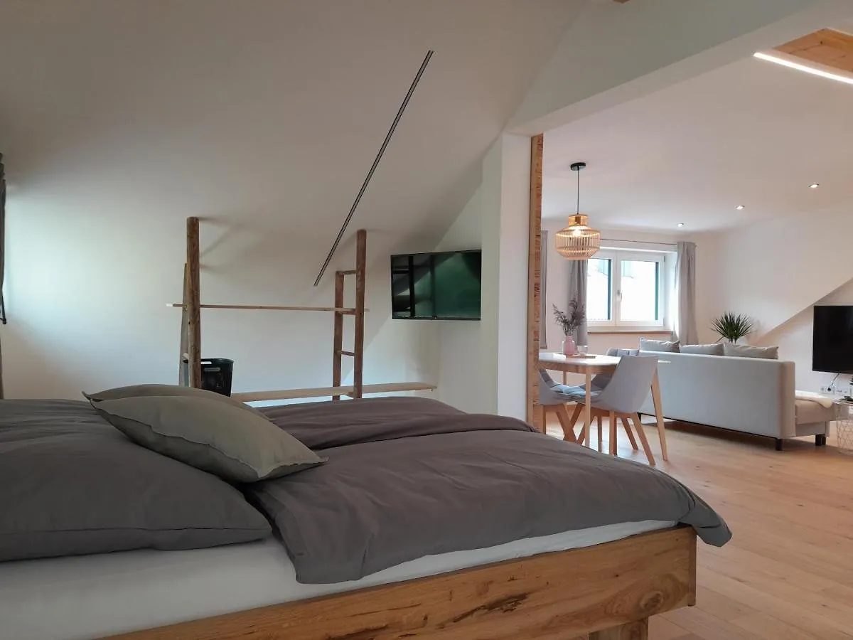 Ferienwohnung Bergblick Loft اسخو ام شيمغاو ألمانيا